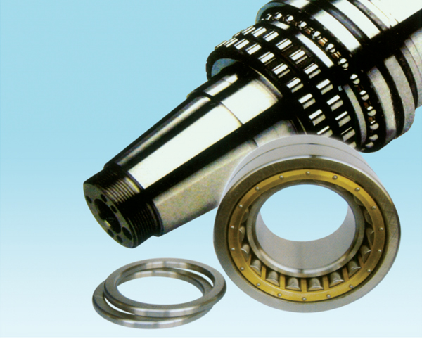 DOUBLE-ROW CYLINDRICAL ROLLER BEARINGS